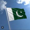 syed پاکستان ہمیشہ زندہ باد profil fotoğrafı