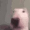 belzebuth's profile picture