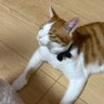 Profilbild von ちっくー