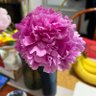 Profilbild von 妙乐吉祥&68