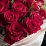 قـــــمـــــــر 🌹 profil fotoğrafı