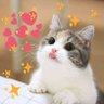 Фото профиля meowayam01 ||