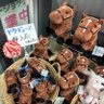 おいす 的头像