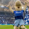 Profilbild von Slyze