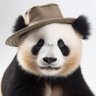 Donna Bowen's profile picture