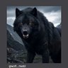 Profilbild von Thelonewolf🖤☠️