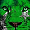 🇵🇰Aoun Naqvi🇵🇰's profile picture