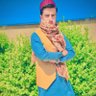 Profilbild von Umar Sahil Wazir