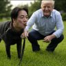Profilbild von 呆蛙•南波灣