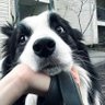 我长话短说 profil fotoğrafı