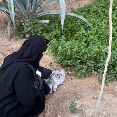 شَ 🎀's profile picture