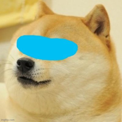 Doge_Altcoin's profile picture