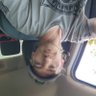 todd_548x's profile picture