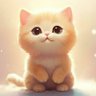 LKF0325xiaomi's profile picture