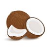 Coconut's profile picture