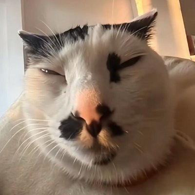 dove tree's profile picture