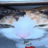 wunba profil fotoğrafı