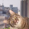 Last profil fotoğrafı