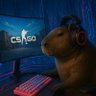 Gordo capibara profil fotoğrafı