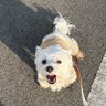 화장실's profile picture