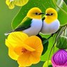 Mirovê baş profil fotoğrafı
