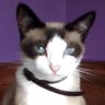 eric 35 profil fotoğrafı
