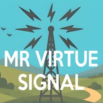 Mr Virtue Signal's profile picture