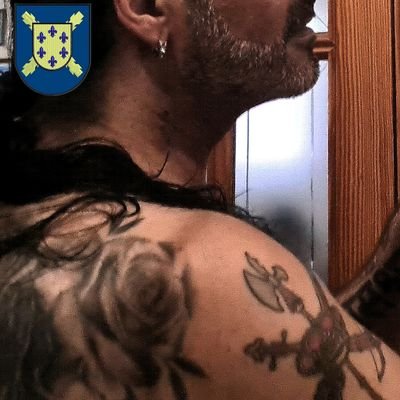 VOX|🇪🇸 HISPANIA SUMERGIDA's profile picture