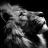 Houssumit Kaiz profil fotoğrafı