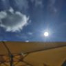 Source 🌱🕊️'s profile picture