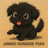 Juninho Ruindade Pura's profile picture