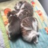 Wilson Cano A. profil fotoğrafı
