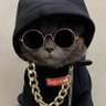Фото профиля Felix