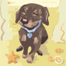 Amore's profile picture
