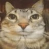 Daniel Marc Snyder's profile picture