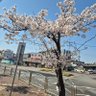 Фото профиля 5년차돌싱입니다