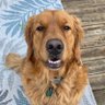 Tate's profile picture