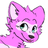 Profilbild von Tycho