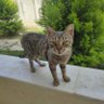 Фото профиля buruşuk