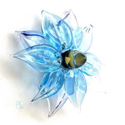 透ゐ🎐ぽけがらす's profile picture