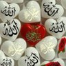 Dr Shaeen's profile picture