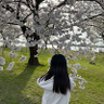 佳恋's profile picture