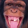 @de-de73's profile picture