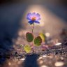 🦋فرح🦋's profile picture