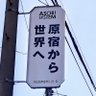 Фото профиля のすけ(光るとうもろこし)