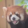 Фото профиля 高橋啓志(タカハシヒロシ)