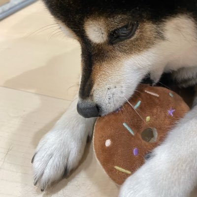 tomo_crewoillll's profile picture