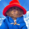 Sara Adams's profile picture