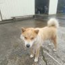 Фото профиля ムラちゃん