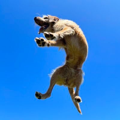 CHENXINPENG510's profile picture
